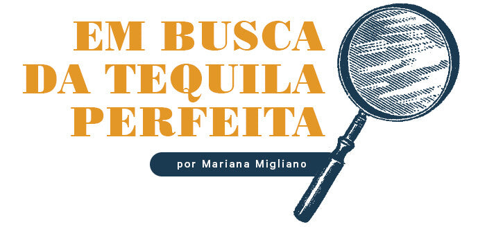 Em busca da Tequila perfeita